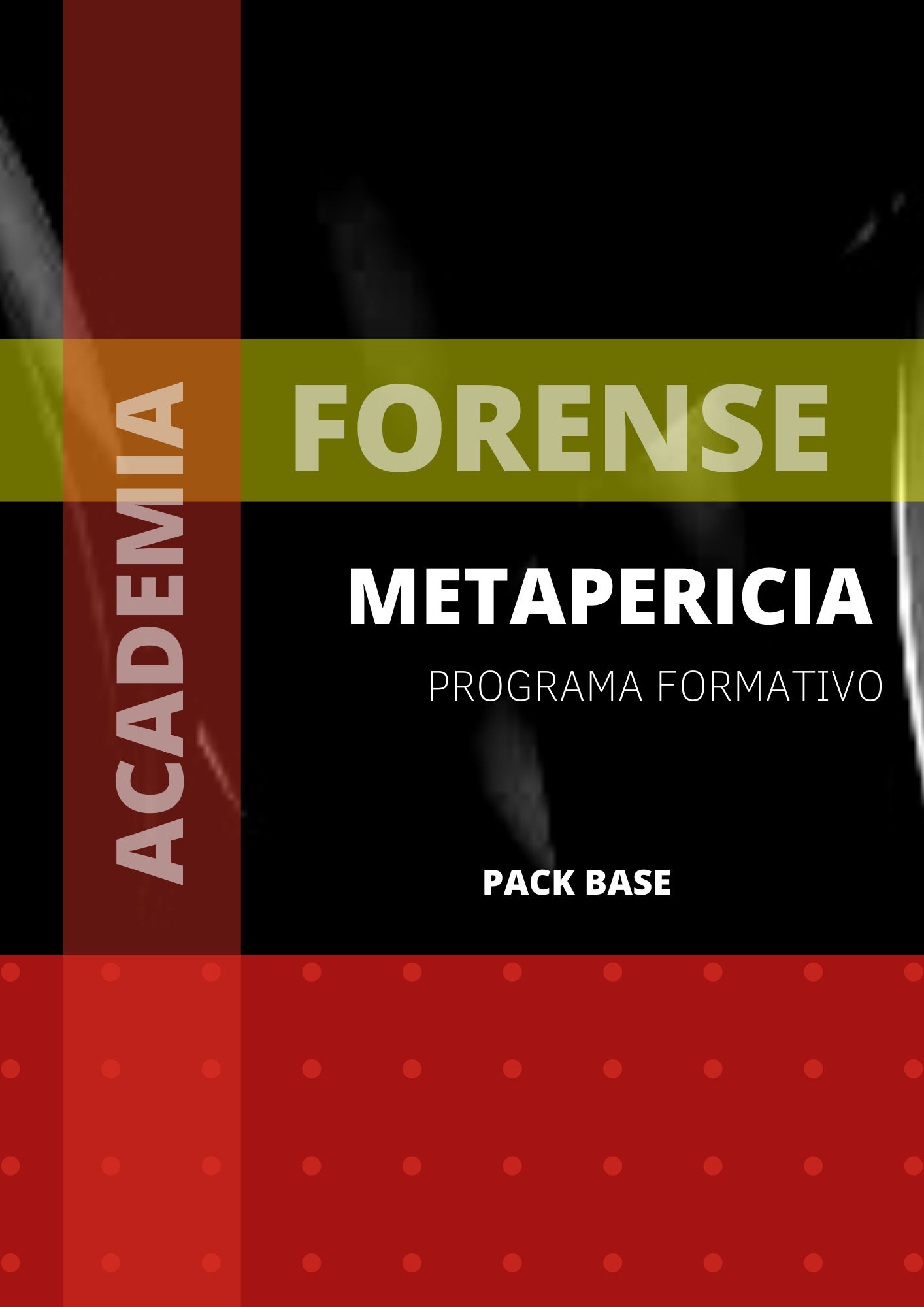 Metapericia Academia Forense